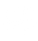 The Wonderlands Brand